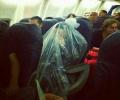 תמונות מצחיקות כיסוי למטוס
