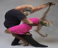 תמונות מצחיקות רוקדים עם קופים