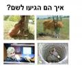 איך הם הגיעו לשם?