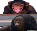 תמונות מצחיקות מצא את ההבדלים בין טהוניה לקוף