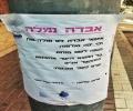 איזה באסה! שוב בנאדם איבד את הנמלה שלו