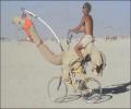 תמונות מצחיקות אופני גמל