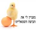 מעניין לי את הביצה השמאלית