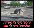 תמונות מצחיקות אז מה נותן לך האלכוהול?