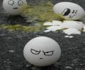 תמונות מצחיקות קרב ביצים