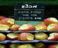 תמונות מצחיקות מבצע, תפוחים בדוקים