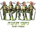 ניצבי הנינג'ה