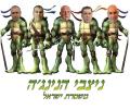 ניצבי הנינג'ה