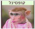 תמונות מצחיקות קופסינל