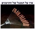 אין על המנגל של התימנים