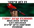 תמונות מצחיקות זה לא ציפור