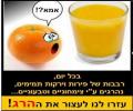 נגד צמחוניים