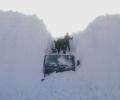 תמונות מצחיקות תקועים בשלג