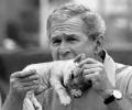 תמונות מצחיקות בוש והחתול